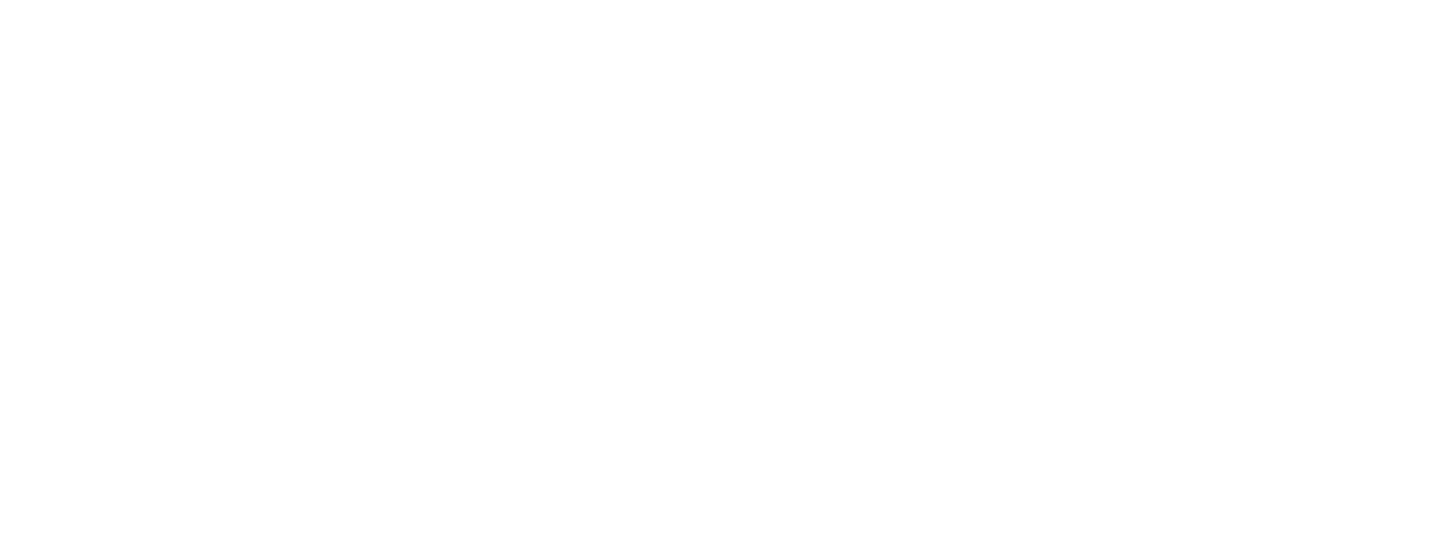 Toques de Vida Logo
